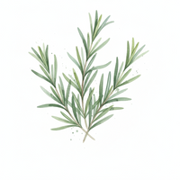 ROSEMARY OIL